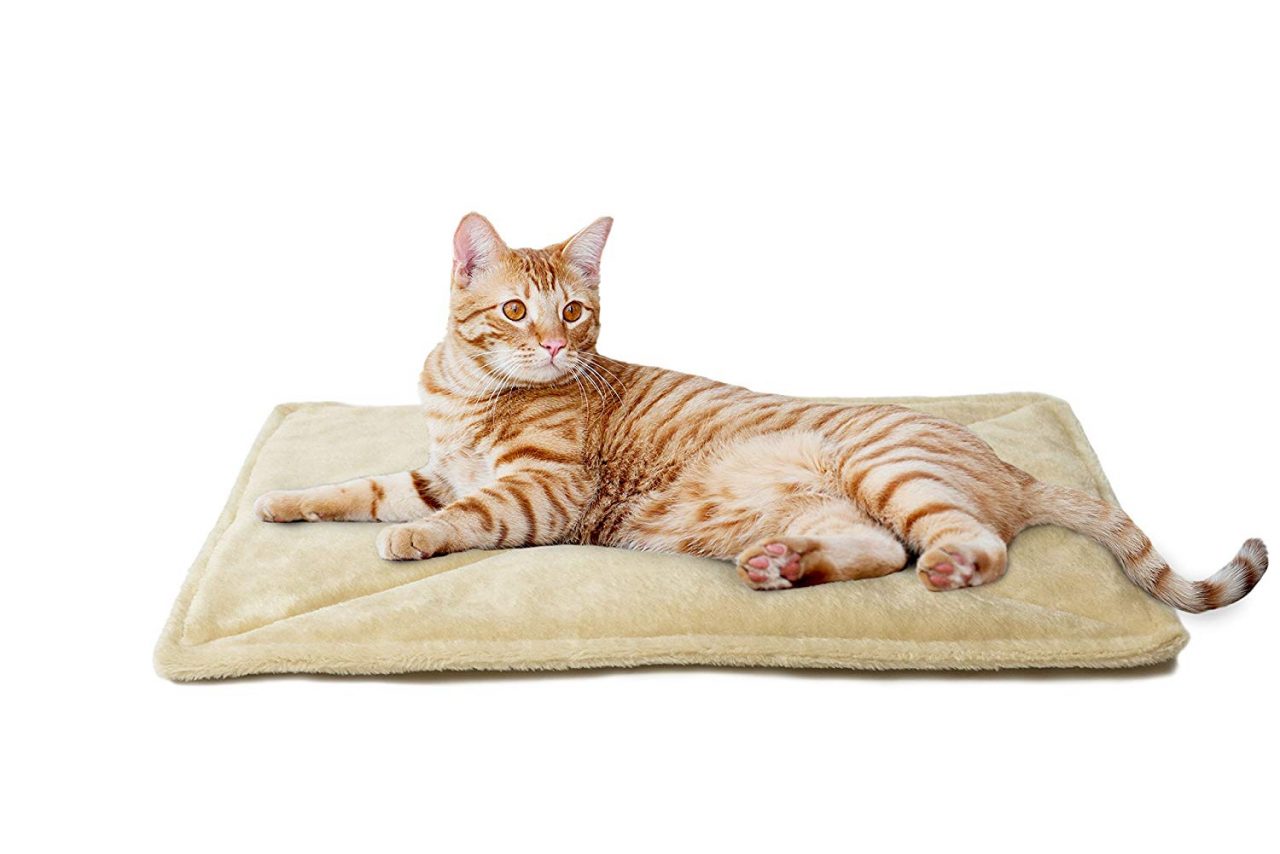 The 10 Best Pet SelfWarming Pads Check What's Best
