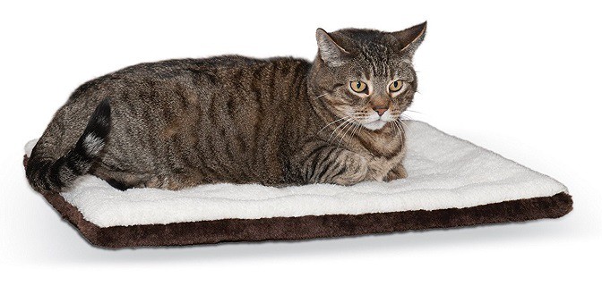 thermal self warming pet bed