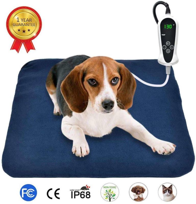 The Safest Heating Pads for Pets Check What's Best