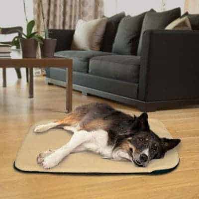 The Safest Heating Pads For Pets Check What S Best Sunbeam Is One Of The Industry Leaders In Human Electric Pads So Not Surprisingly They Have A Heated Pet Mat It Comes 2 Sizes 14 L By 28 W Or 27