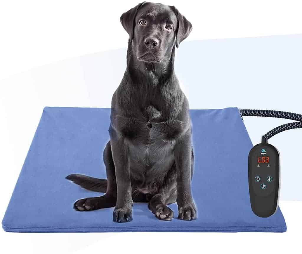 best outdoor heating pad for cats